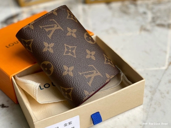Aaa replica bags Vuitton Louis Wallet VICTORINE 0804
